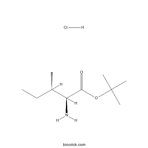 H-Ile-OtBu.HCl