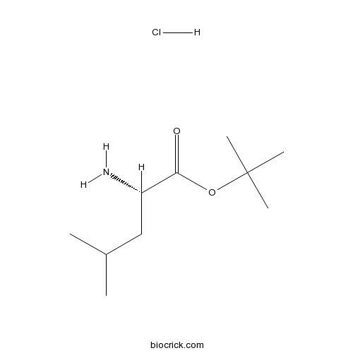 H-Leu-OtBu.HCl