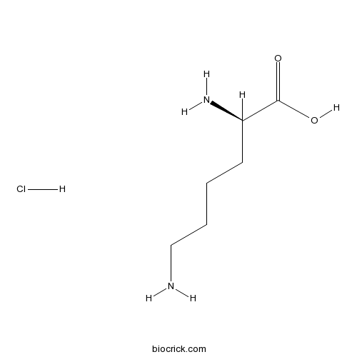 H-D-Lys-OH.HCl