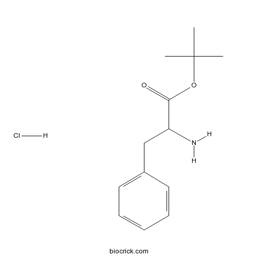 H-Phe-OtBu.HCl