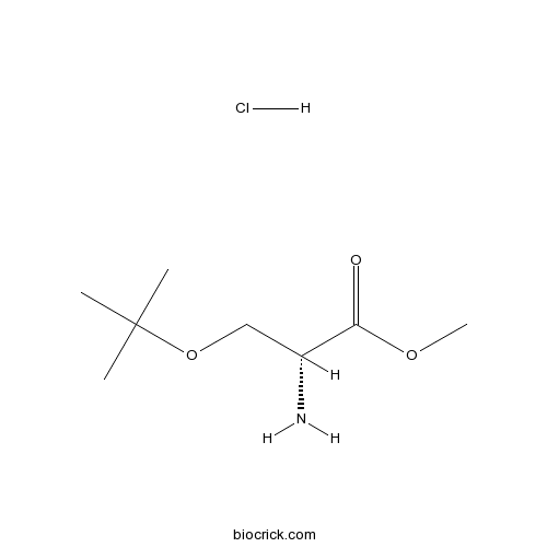 H-D-Ser(tBu)-OMe.HCl