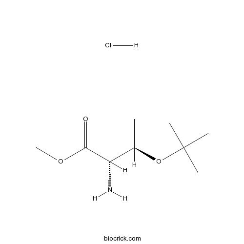 H-Thr(tBu)-OMe.HCl