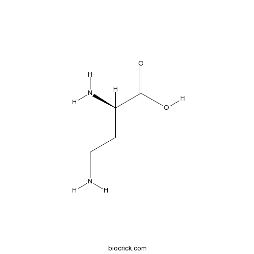 H-D-Dab-OH.2HCl