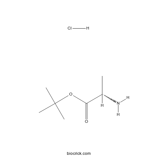 H-Ala-OtBu.HCl