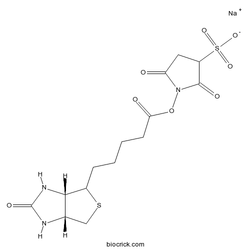 Sulfo-NHS-Biotin