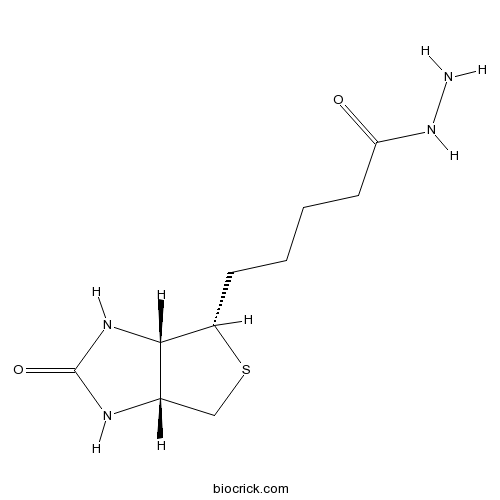 Biotin Hydrazide