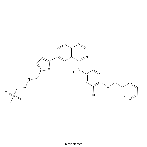 Lapatinib