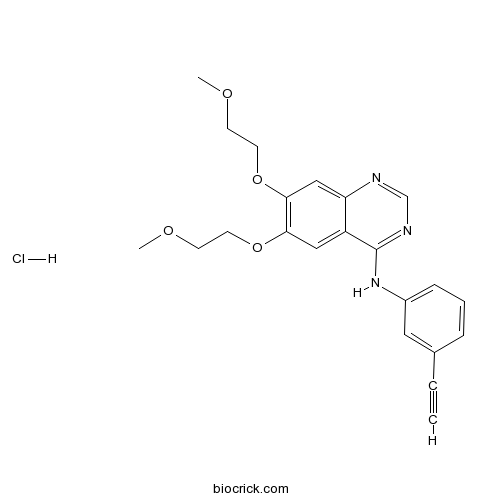 Erlotinib Hydrochloride