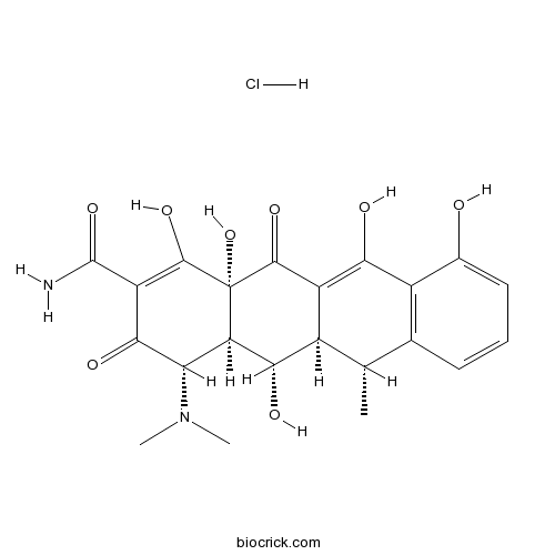 clomid serophene buy