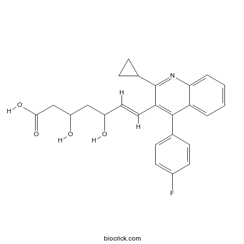 Pitavastatin