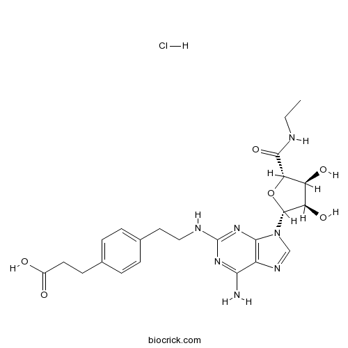 CGS 21680 HCl