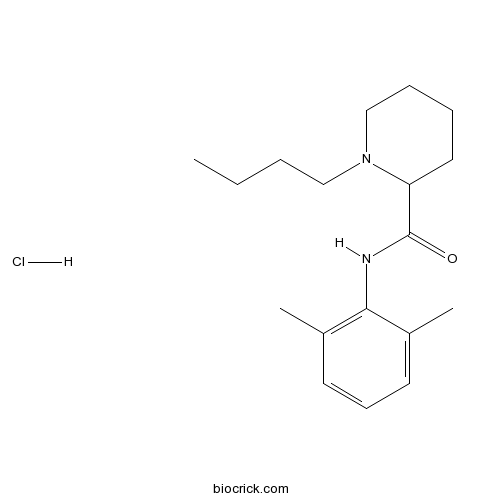 Bupivacaine HCl