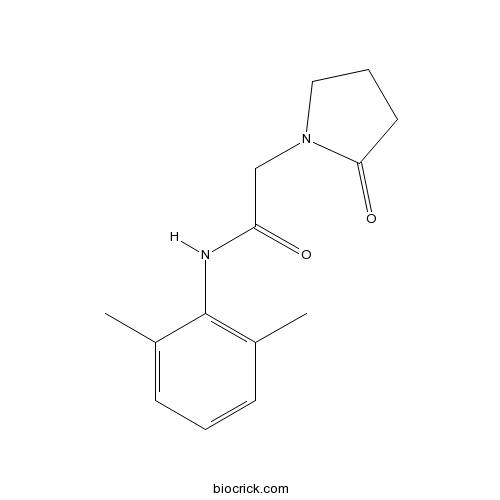 Nefiracetam