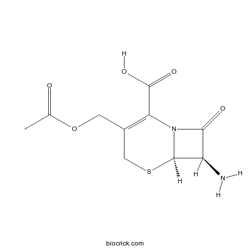 7-Aminocephalosporanic acid