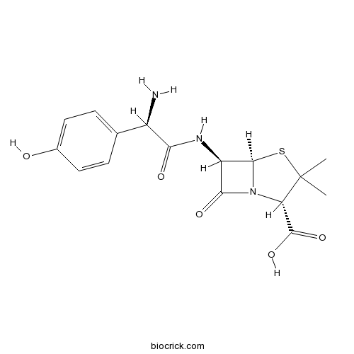 Amoxicillin