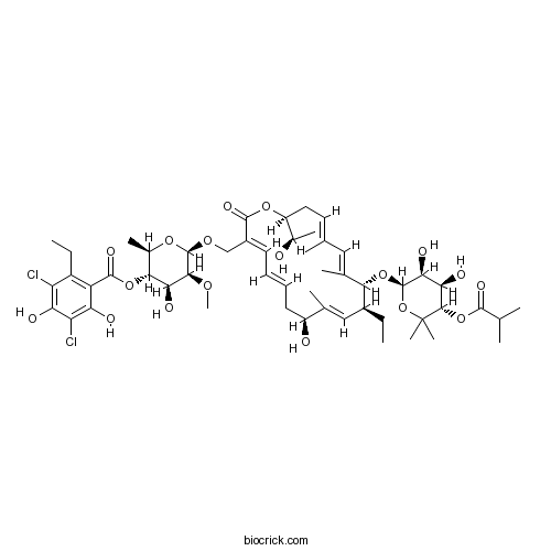 Fidaxomicin