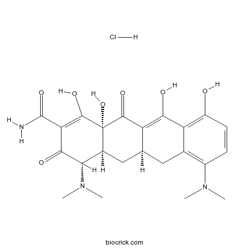 Minocycline HCl