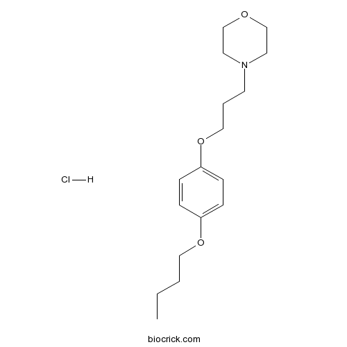 Pramoxine HCl