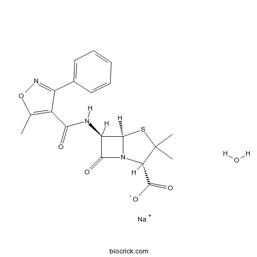 Oxacillin sodium monohydrate