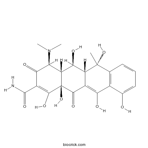 Oxytetracycline (Terramycin)