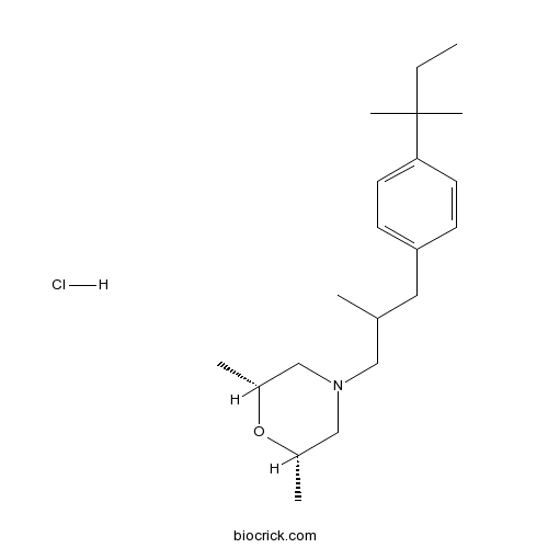 Amorolfine HCl