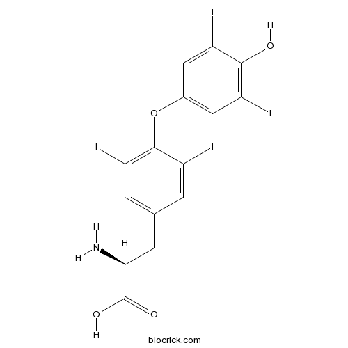 L-Thyroxine