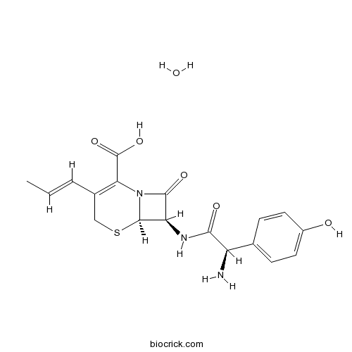 Cefprozil hydrate