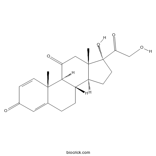 Prednisone