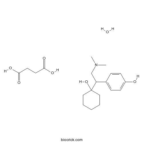 Desvenlafaxine Succinate