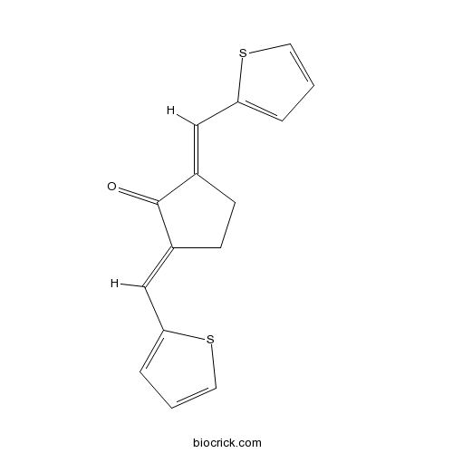 CCT007093