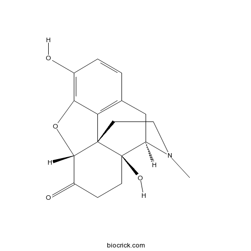 Oxymorphone