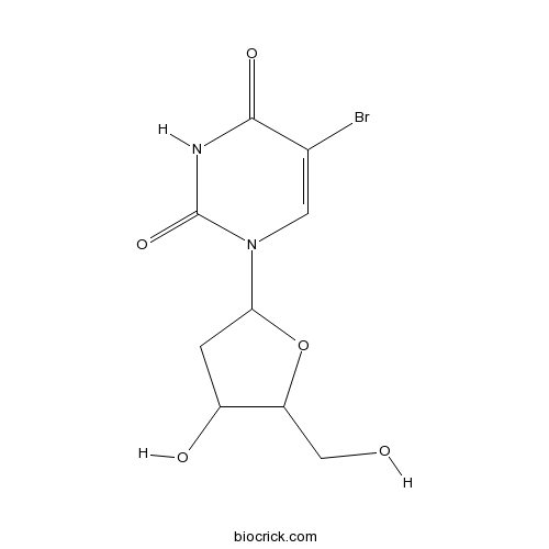 5-BrdU