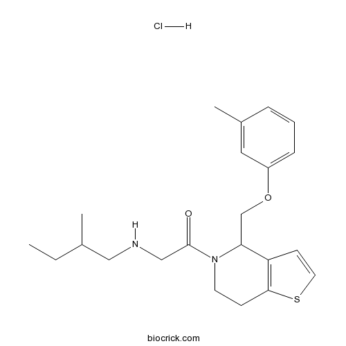 RU-SKI 43