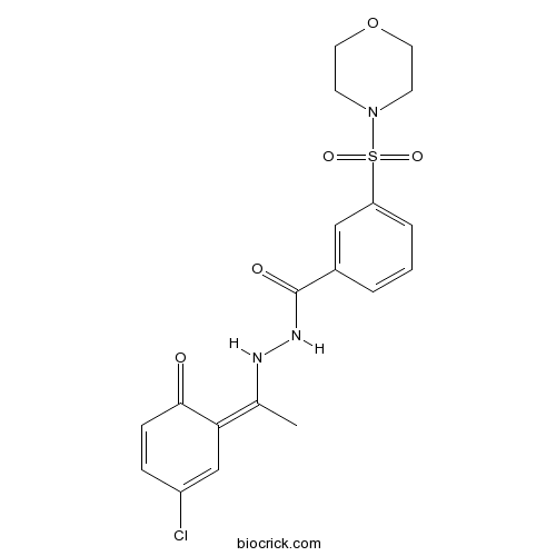 SP2509