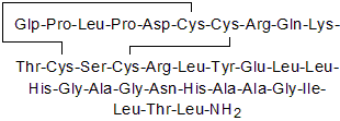 Orexin A (human, rat, mouse)