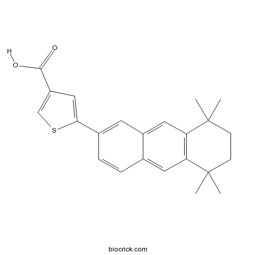 CD 2314