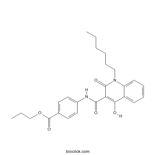 GSA 10