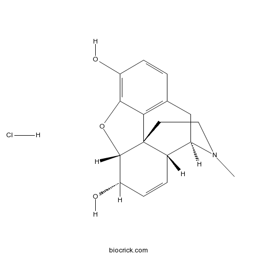 Morphine hydrochloride