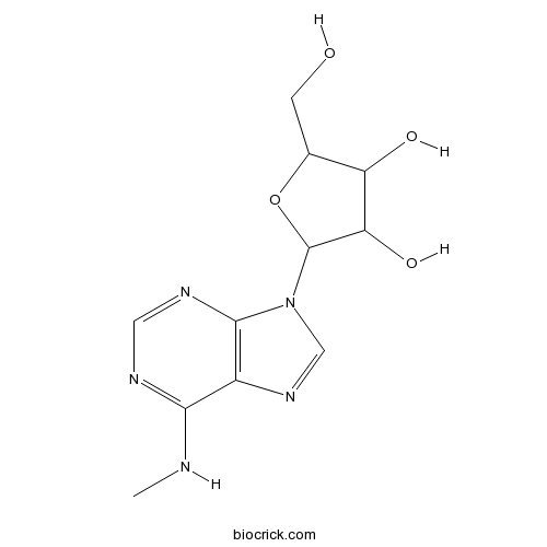 N6-methyladenosine (m6A)