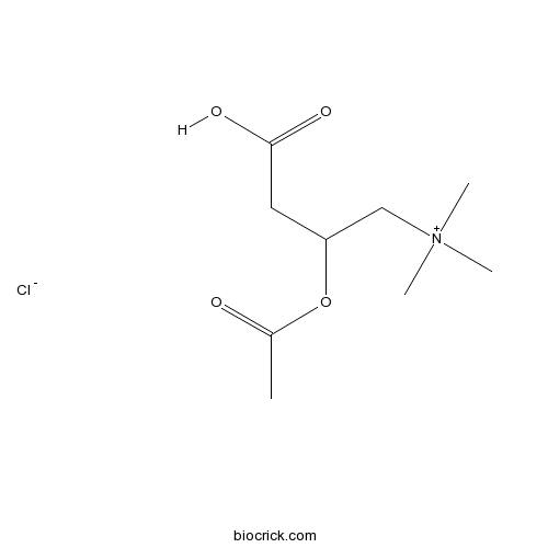 (±)-Acetylcarnitine chloride