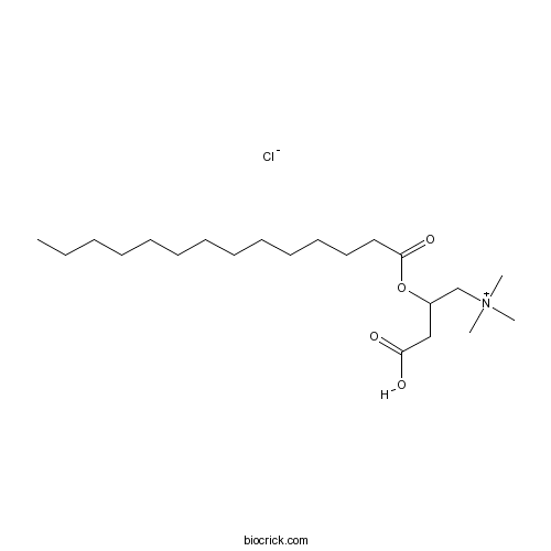 (±)-Myristoylcarnitine chloride