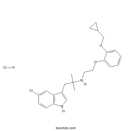 RS 17053 hydrochloride