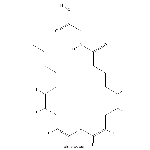 N-Arachidonylglycine