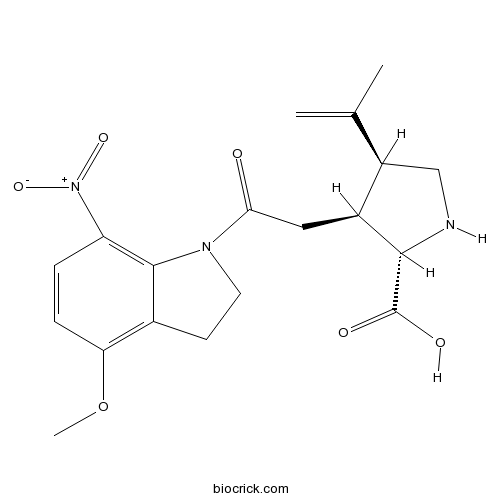 MNI caged kainic acid