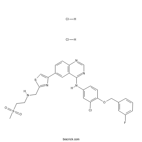 GW 583340 dihydrochloride