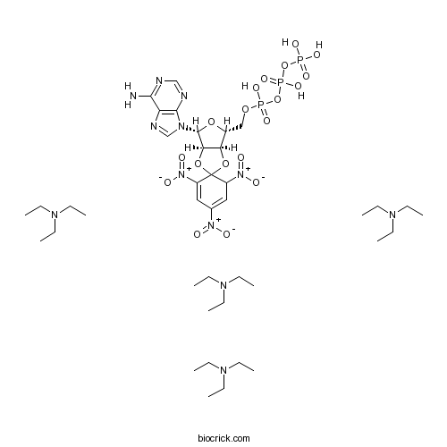 TNP-ATP triethylammonium salt