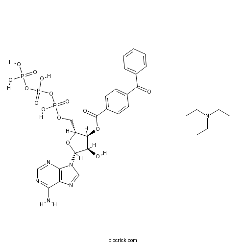 BzATP triethylammonium salt