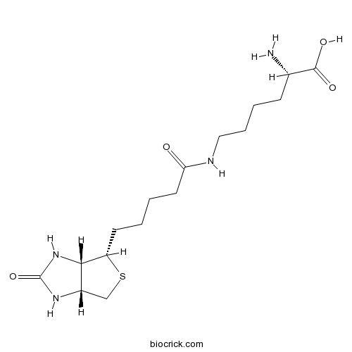 Biocytin