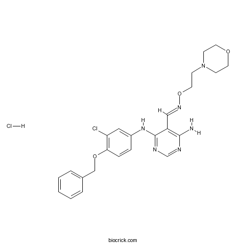 JNJ 28871063 hydrochloride