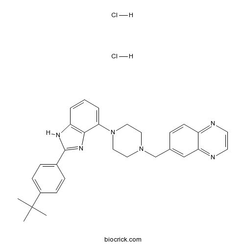 WAY 207024 dihydrochloride